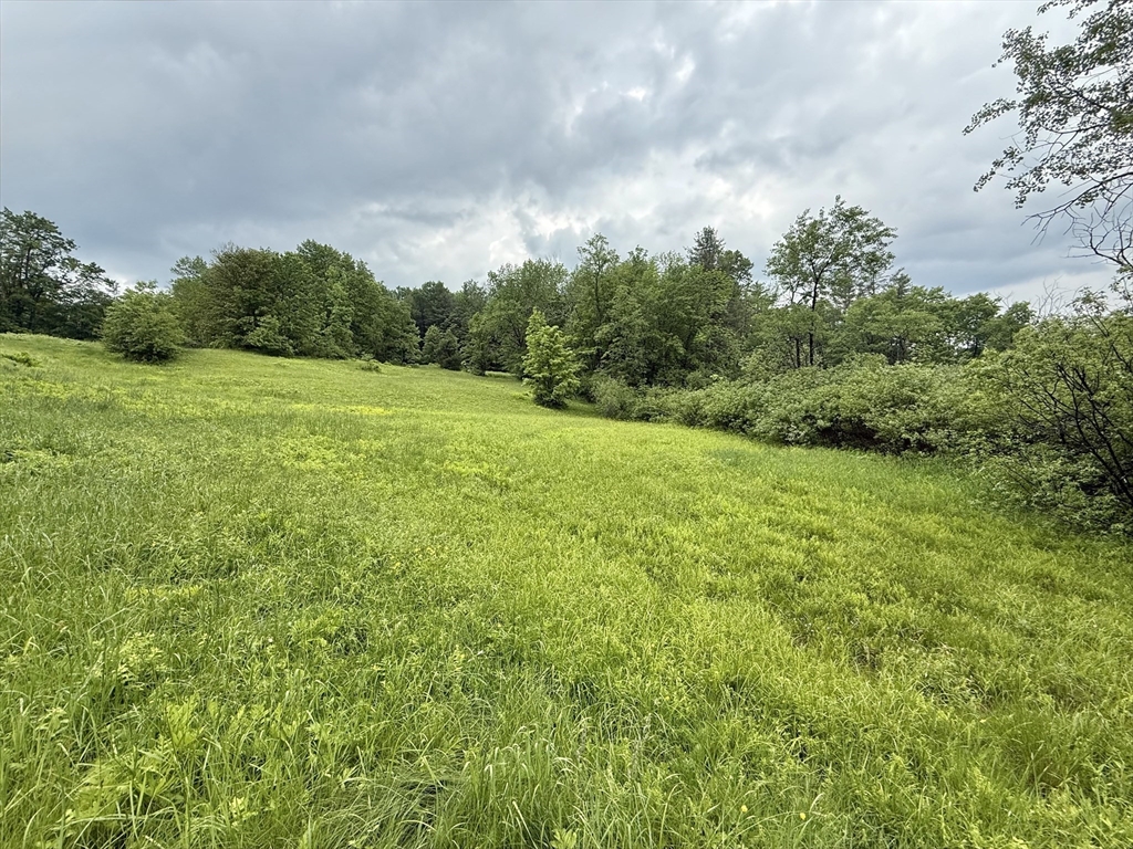 0 Stetson Road Hawley, MA 01339 - Photo 4 of 5 Gallery Image 4
