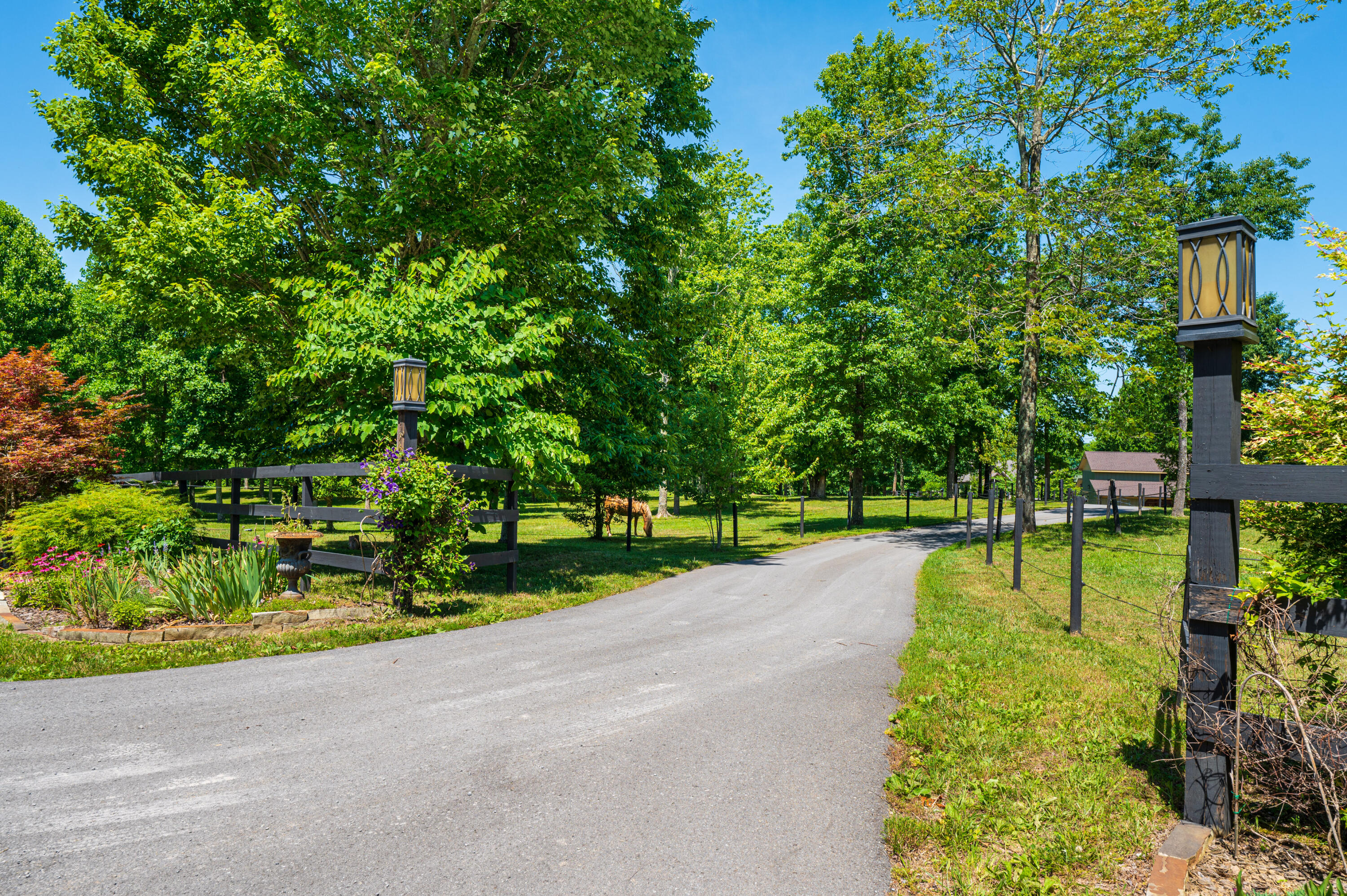 1274 Roaring Creek Road Dunlap, TN 37327 - Photo 11 of 81 2022_06_June_1274_Roaring_Creek_Rd_0011