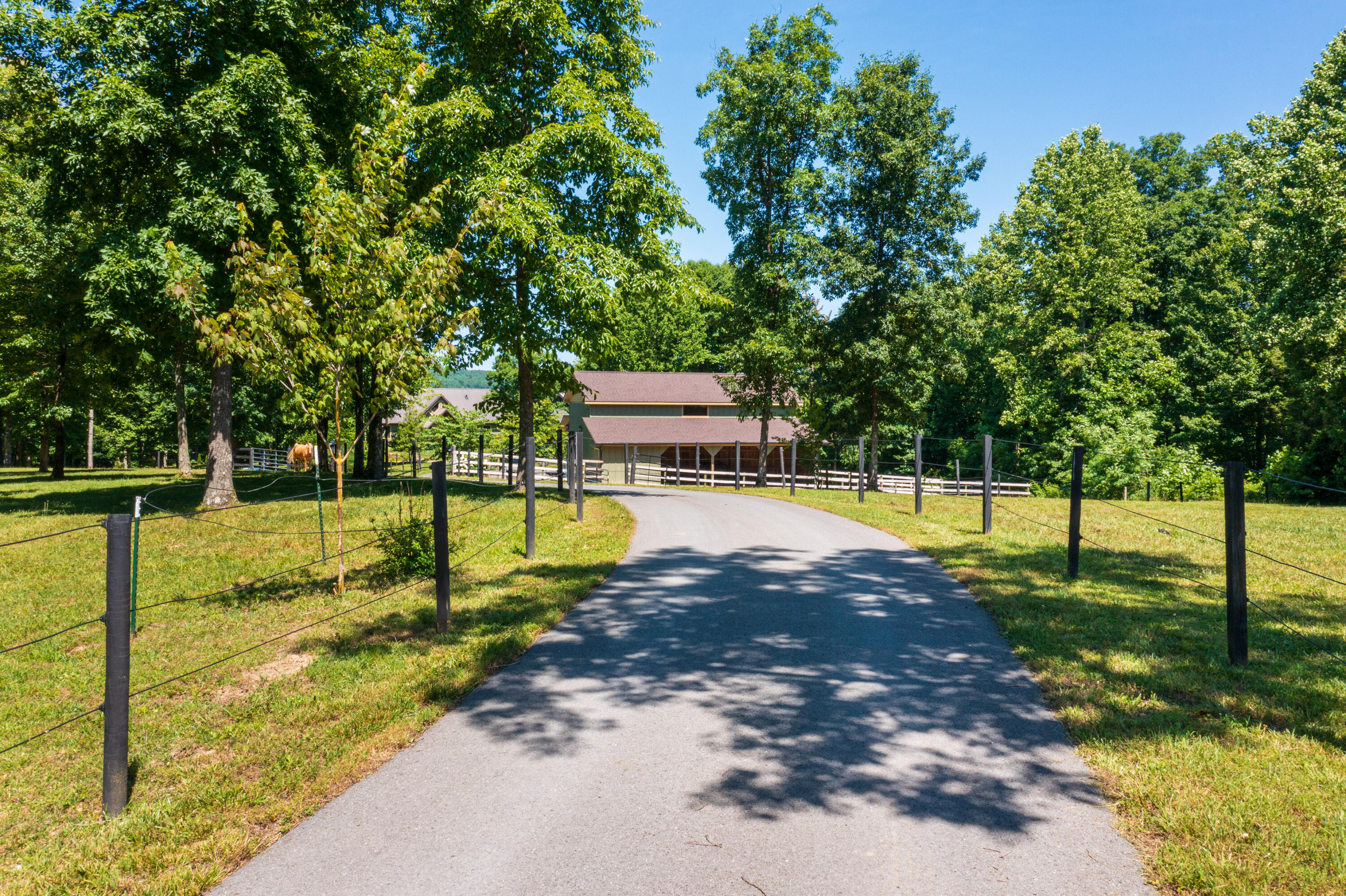 1274 Roaring Creek Road Dunlap, TN 37327 - Photo 10 of 81 2022_06_June_1274_Roaring_Creek_Rd_0010