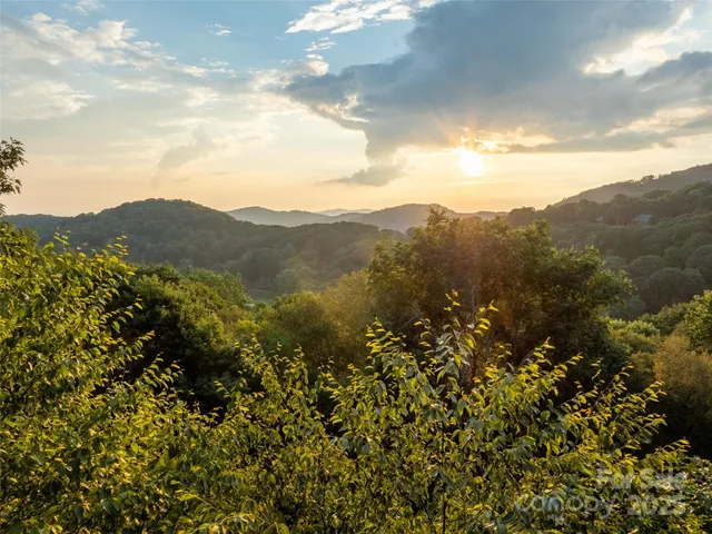a view of a house with a yard patio and a wooden deck