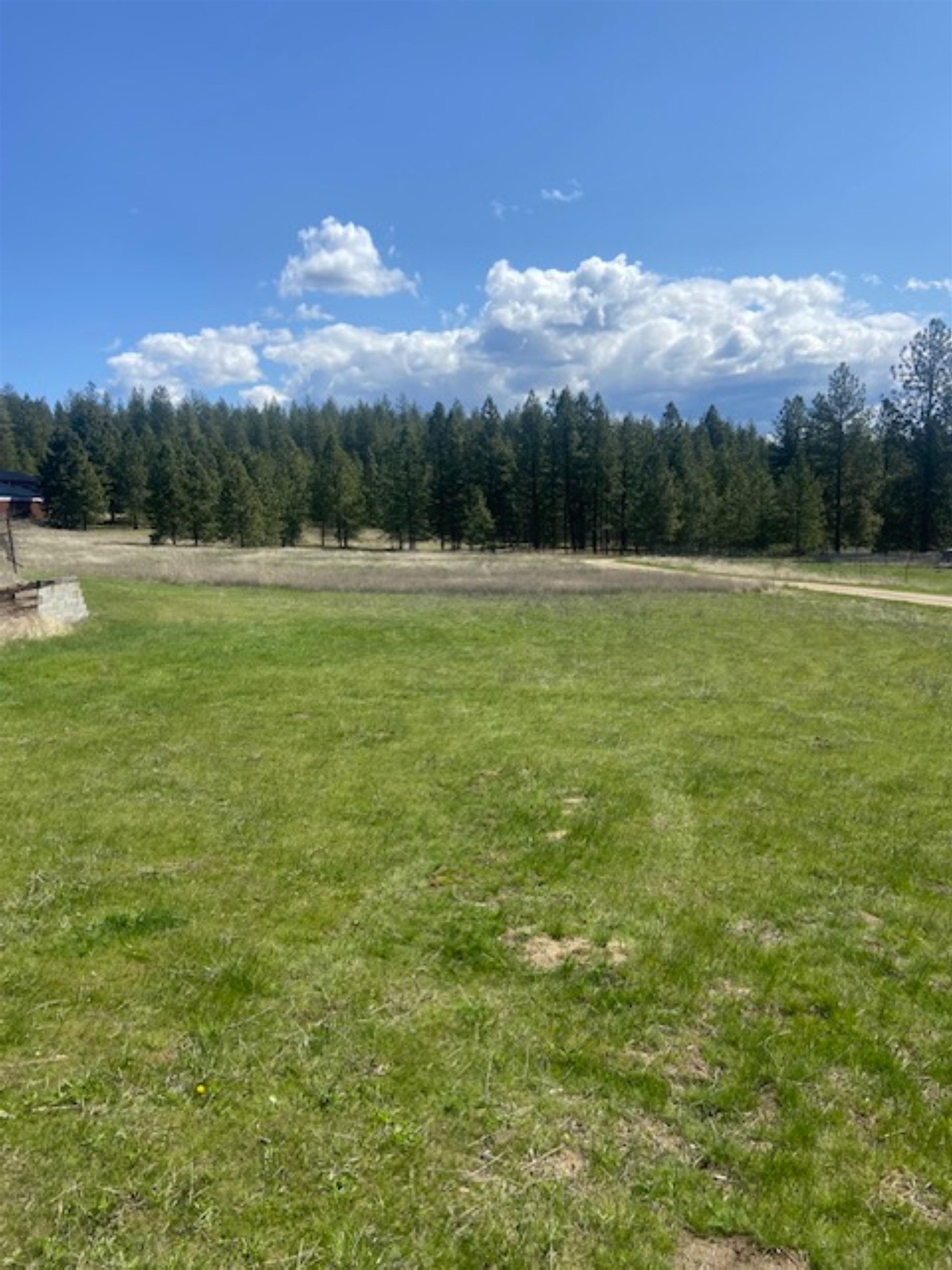 29514 North Dunn Road Chattaroy, WA 99003 - Photo 21 of 29 Gallery Image 21