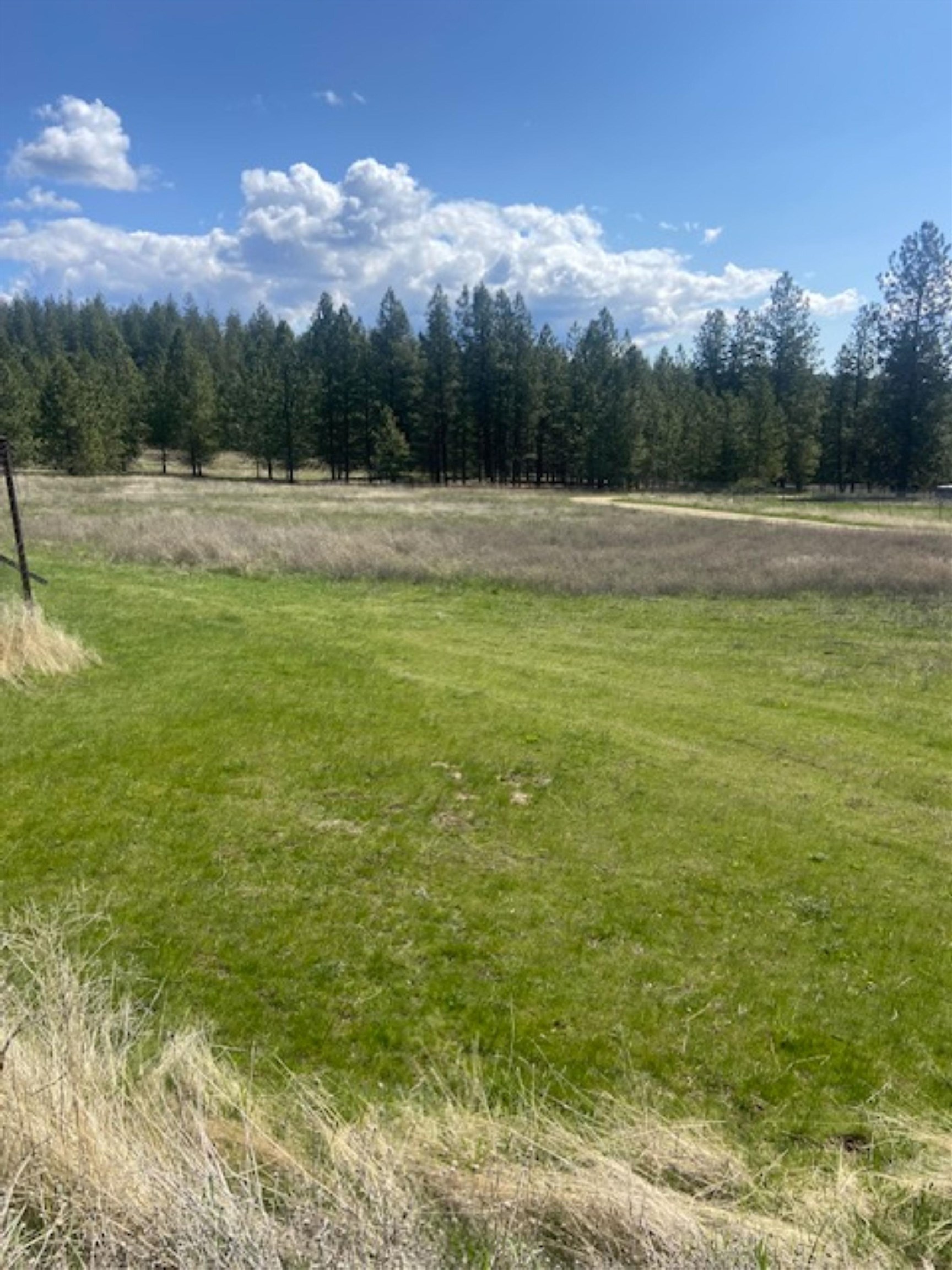 29514 North Dunn Road Chattaroy, WA 99003 - Photo 23 of 29 Gallery Image 23