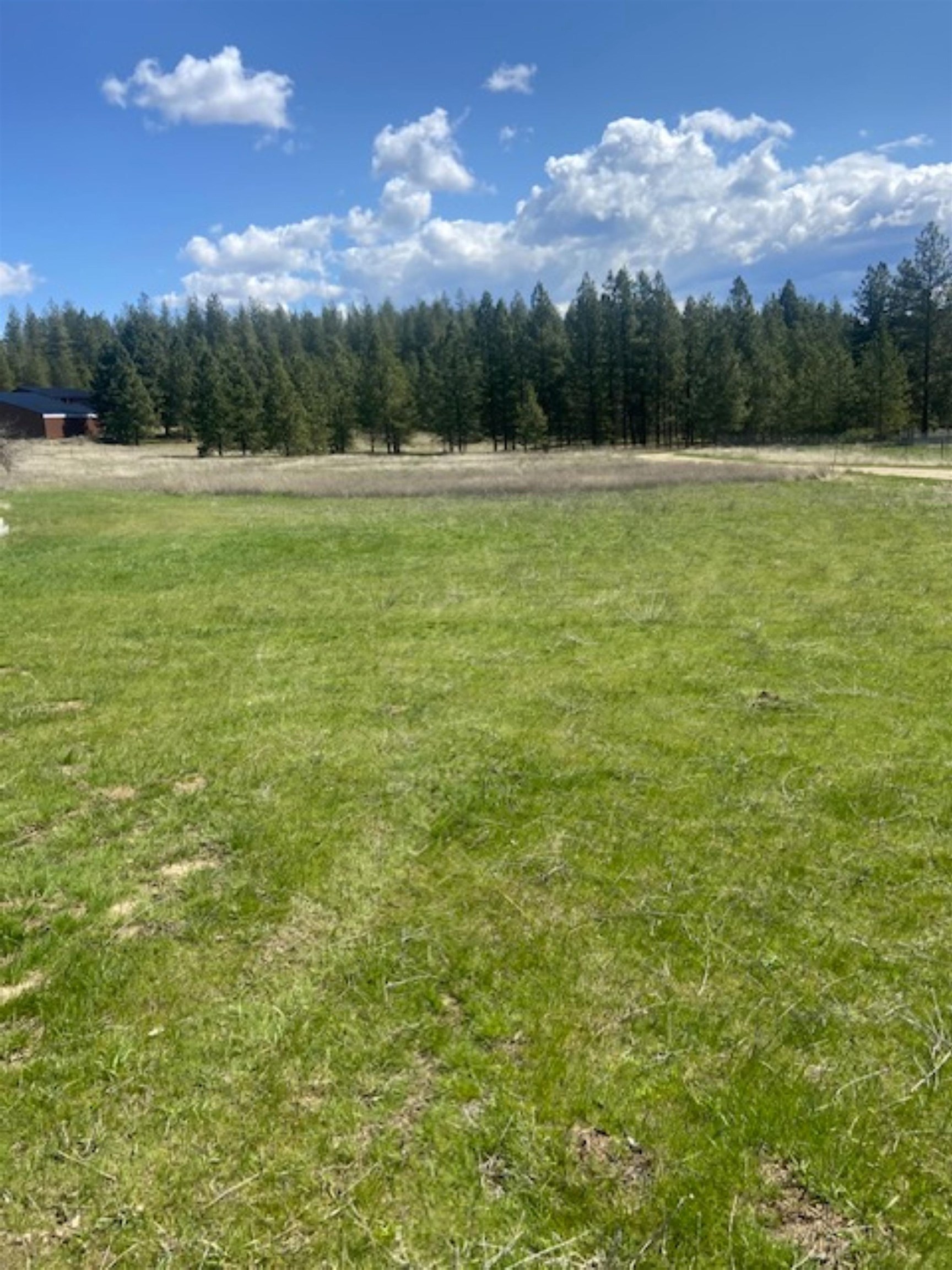29514 North Dunn Road Chattaroy, WA 99003 - Photo 29 of 29 Gallery Image 29