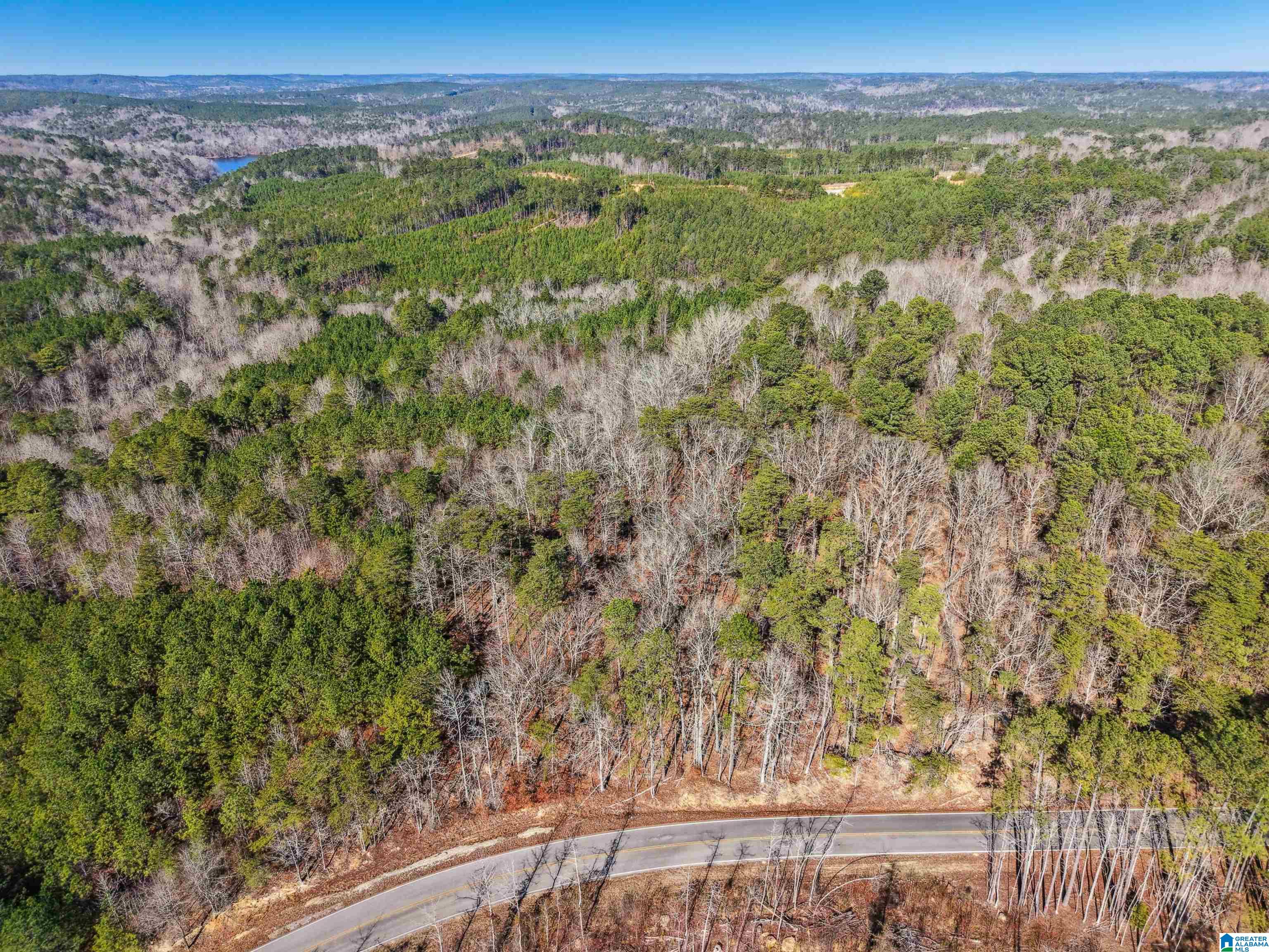 15065 Lock 17 Road, Unit 1 Adger, AL 35006 - Photo 7 of 10