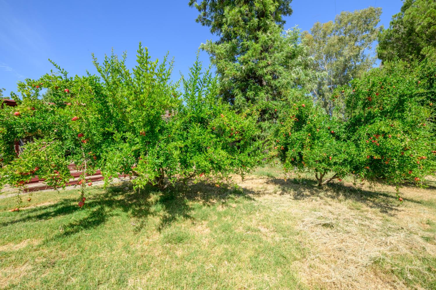 20115 County Road 79A Capay, CA 95607 - Photo 17 of 44
