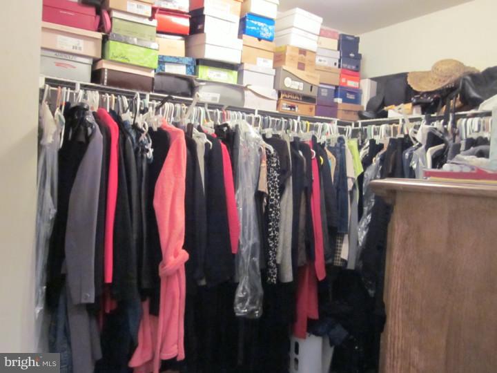 390 Sapling Way Atco, NJ 08004 - Photo 14 of 25 Walk-in Closet
