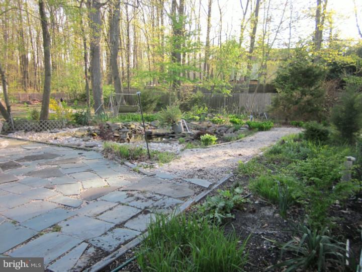 390 Sapling Way Atco, NJ 08004 - Photo 22 of 25 Back Yard