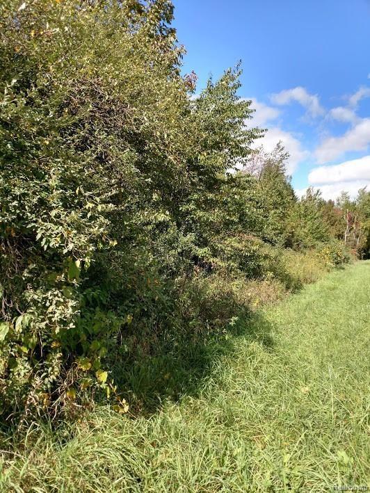 Parcel B Castle Road Otter Lake, MI 48464 - Photo 5 of 6