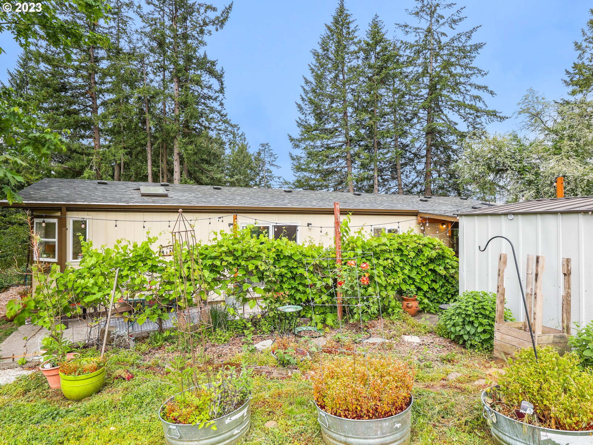 16625 South Redland Road Oregon City, OR 97045 - Photo 19 of 28 a view of a back yard of the house