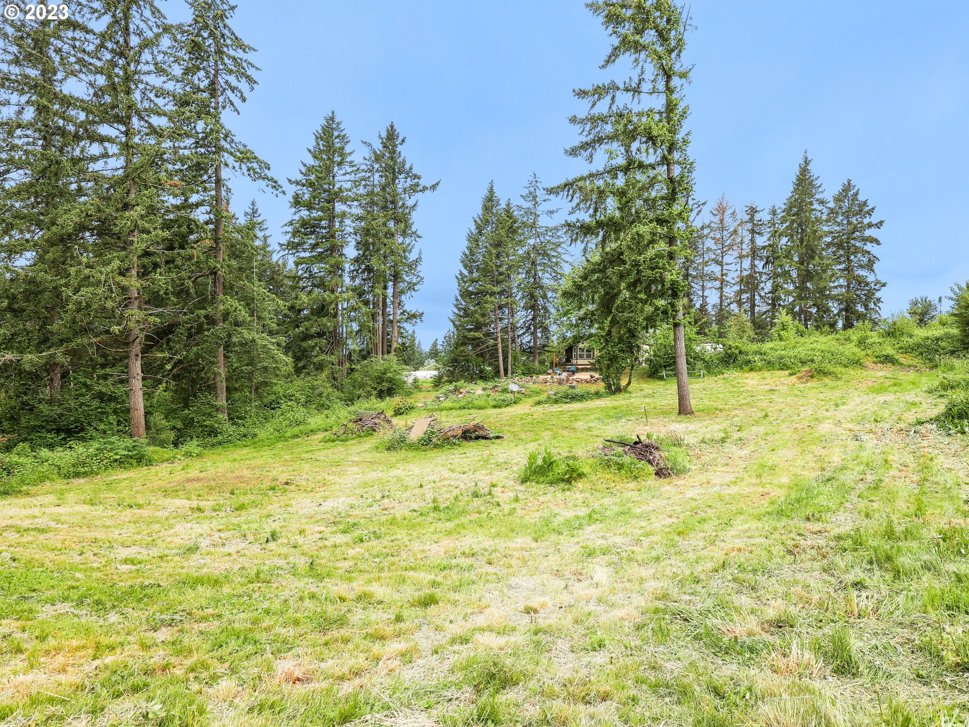 16625 South Redland Road Oregon City, OR 97045 - Photo 27 of 28 a view of outdoor space with trees all around