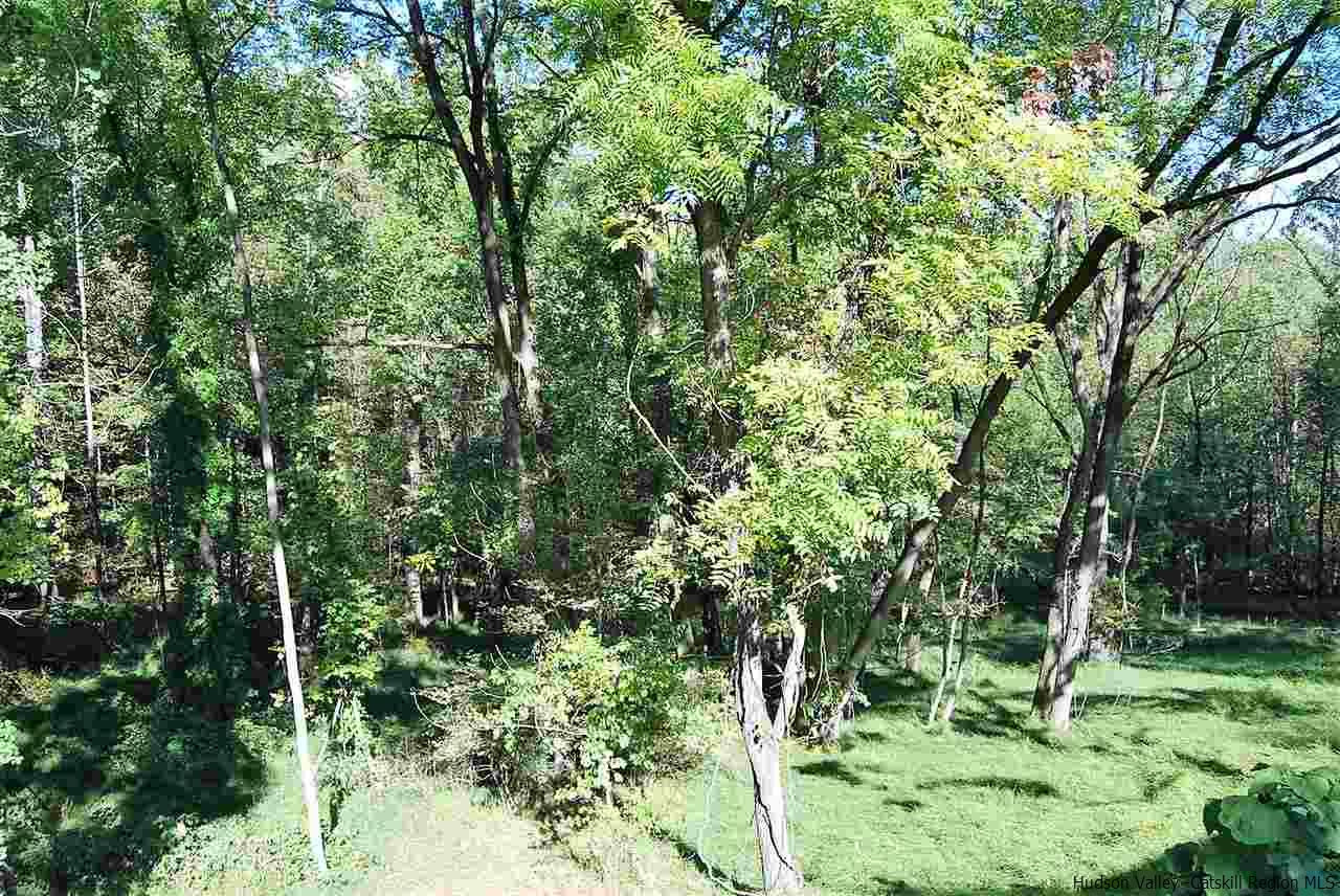 64 Mossybrook Road High Falls, NY 12440 - Photo 18 of 19 a view of a lush green forest