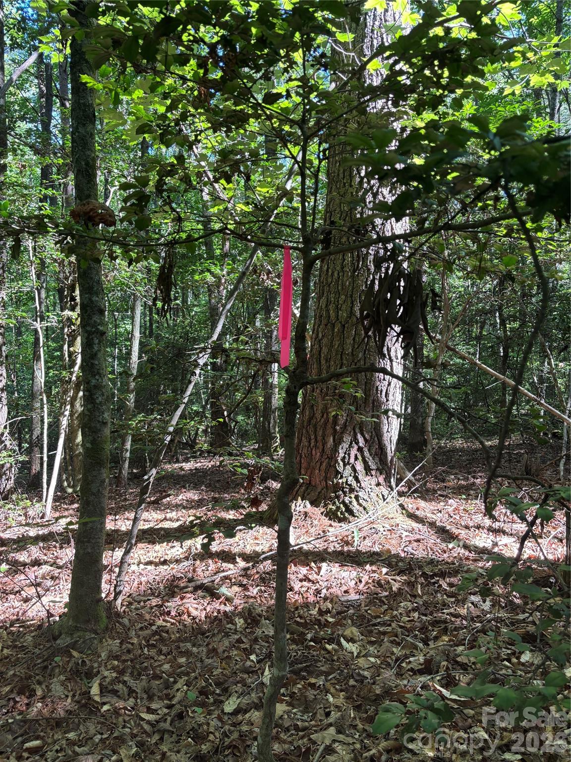 0 Stillwater Road Boomer, NC 28606 - Photo 20 of 33