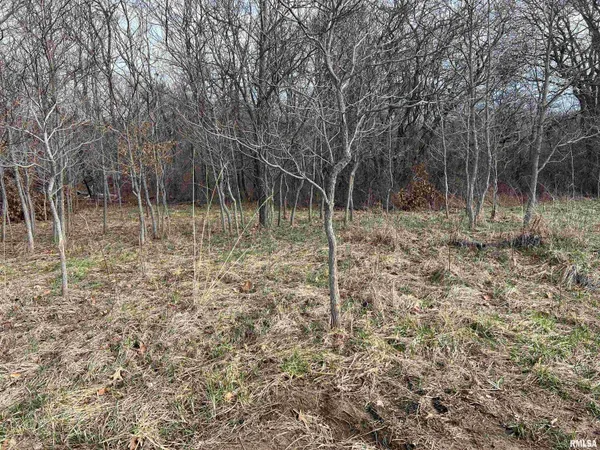 $1,630,000 | 400 County Road 400 East, Mount Sterling, IL 62353