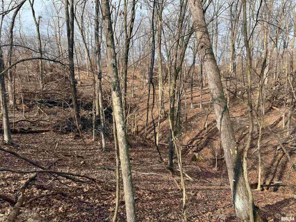 $1,630,000 | 400 County Road 400 East, Mount Sterling, IL 62353