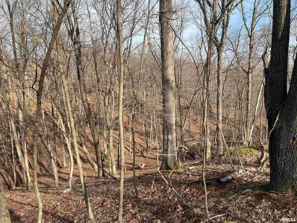 $1,630,000 | 400 County Road 400 East, Mount Sterling, IL 62353