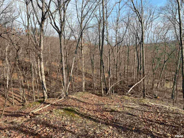 $1,630,000 | 400 County Road 400 East, Mount Sterling, IL 62353