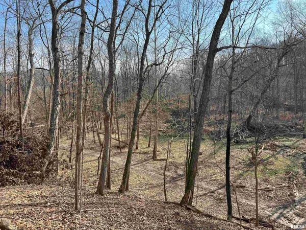 $1,630,000 | 400 County Road 400 East, Mount Sterling, IL 62353