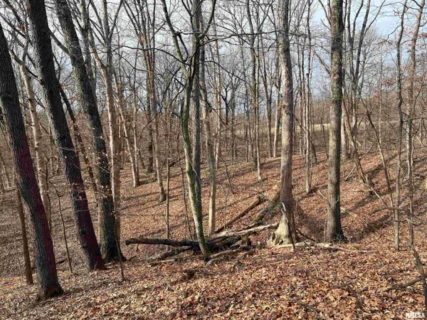 $1,630,000 | 400 County Road 400 East, Mount Sterling, IL 62353
