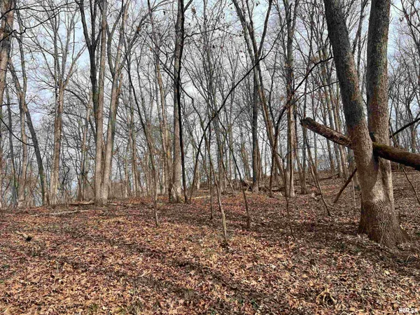 $1,630,000 | 400 County Road 400 East, Mount Sterling, IL 62353