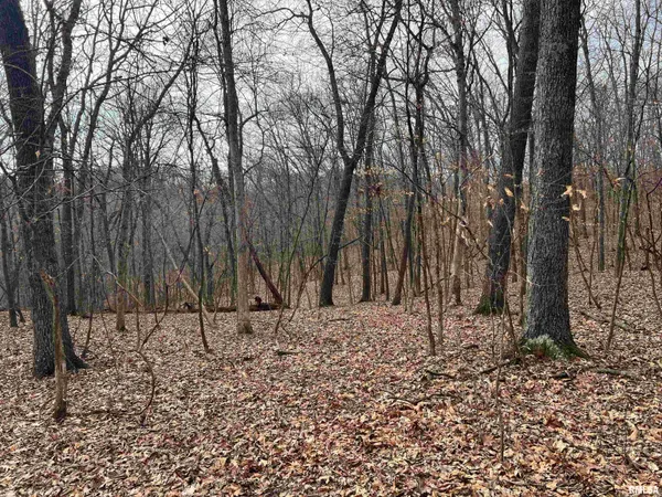 $1,630,000 | 400 County Road 400 East, Mount Sterling, IL 62353