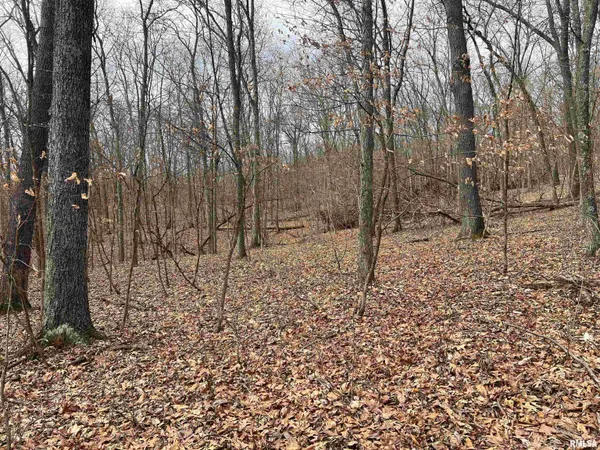 $1,630,000 | 400 County Road 400 East, Mount Sterling, IL 62353