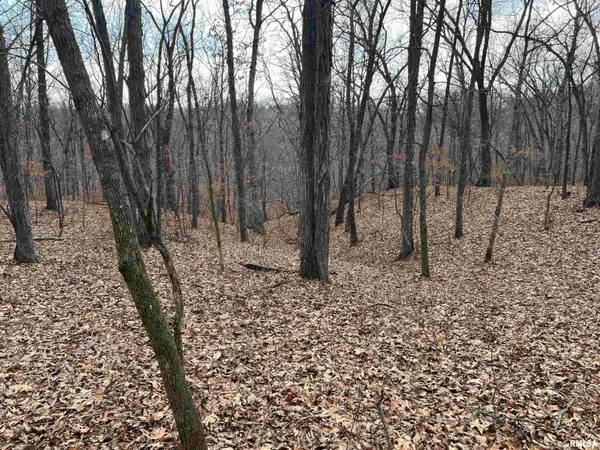 $1,630,000 | 400 County Road 400 East, Mount Sterling, IL 62353