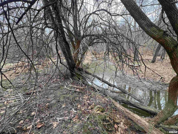 $1,630,000 | 400 County Road 400 East, Mount Sterling, IL 62353