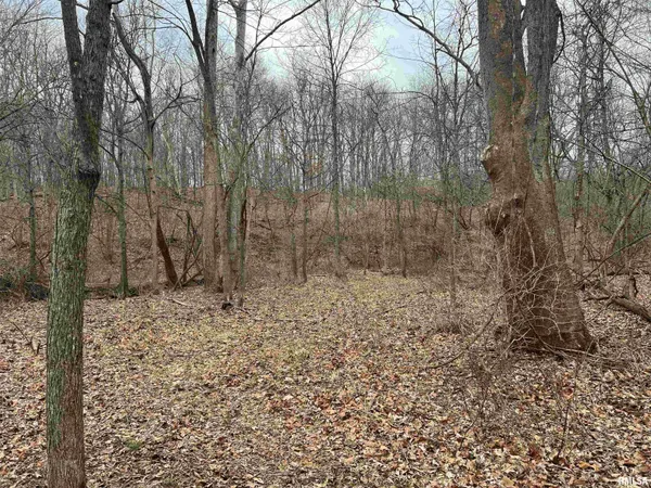 $1,630,000 | 400 County Road 400 East, Mount Sterling, IL 62353