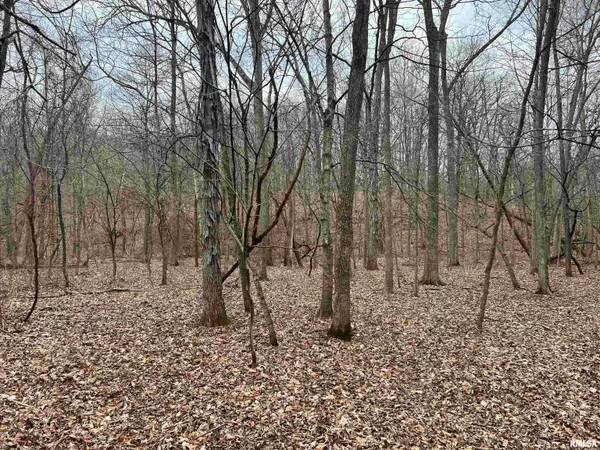 $1,630,000 | 400 County Road 400 East, Mount Sterling, IL 62353