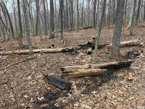 $1,630,000 | 400 County Road 400 East, Mount Sterling, IL 62353