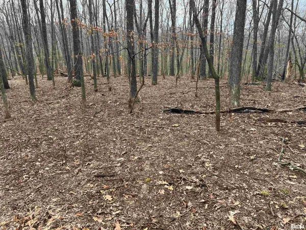 $1,630,000 | 400 County Road 400 East, Mount Sterling, IL 62353