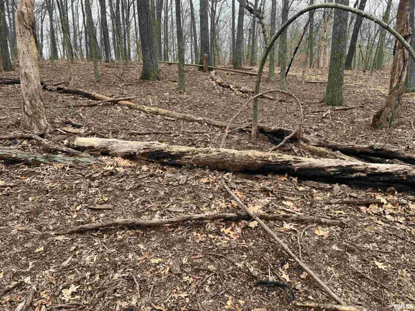 $1,630,000 | 400 County Road 400 East, Mount Sterling, IL 62353
