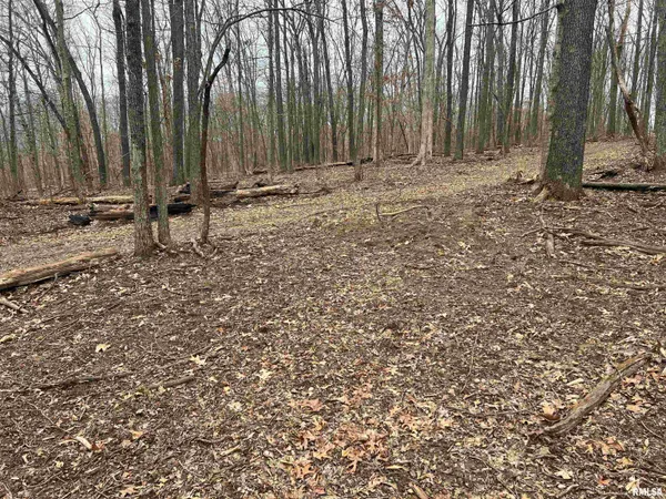 $1,630,000 | 400 County Road 400 East, Mount Sterling, IL 62353