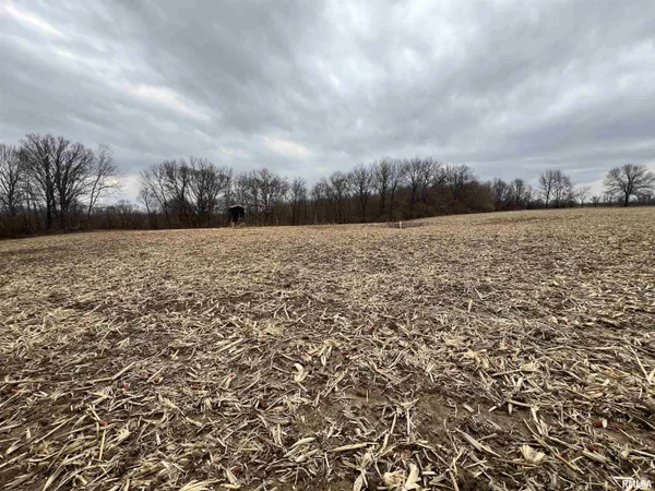 $1,630,000 | 400 County Road 400 East, Mount Sterling, IL 62353