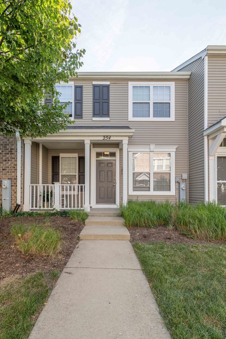 254 Springbrook Trail South Oswego, IL 60543 - Photo 2 of 20