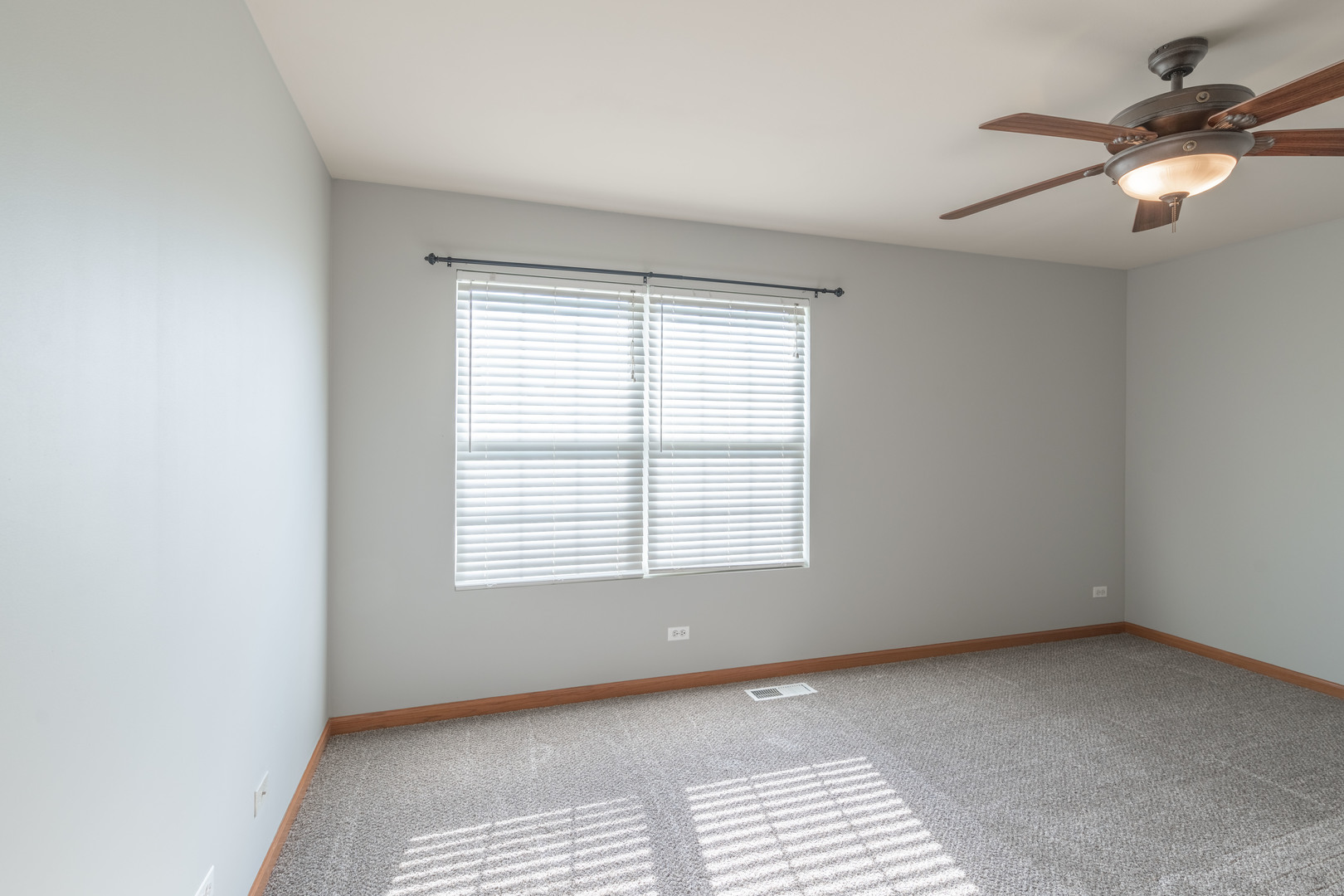 254 Springbrook Trail South Oswego, IL 60543 - Photo 15 of 20