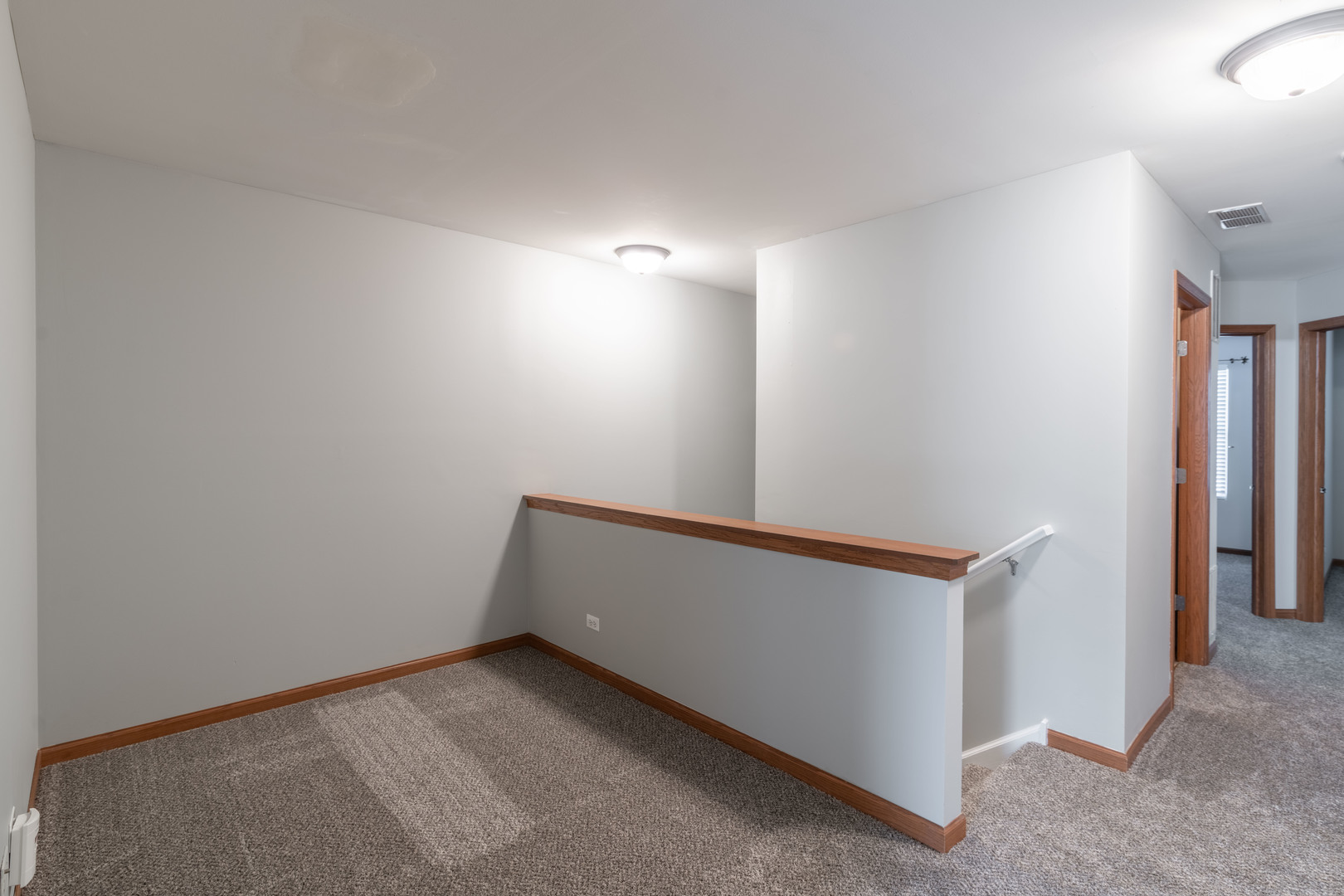 254 Springbrook Trail South Oswego, IL 60543 - Photo 19 of 20