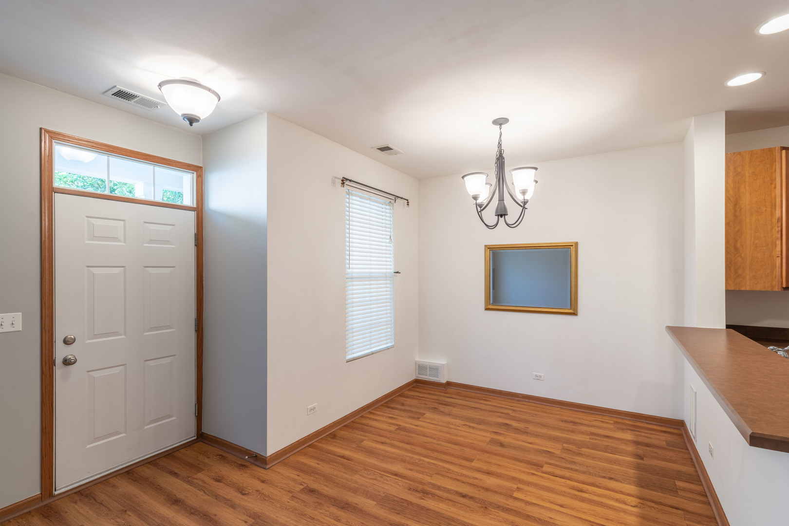 254 Springbrook Trail South Oswego, IL 60543 - Photo 6 of 20