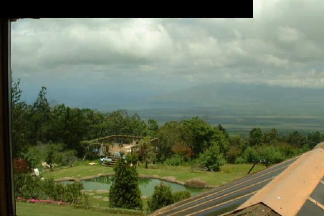 319 Alae Road Kula, HI 96790 - Photo 3 of 5