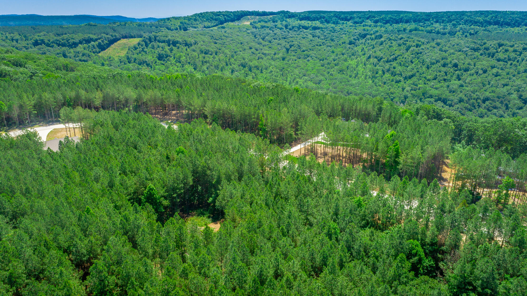 0 Split Rail Way, Unit LOT 1163 Guild, TN 37340 - Photo 45 of 118 River Gorge Lot 1163 HD-47