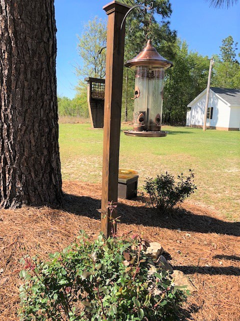 826 Johnson Road Aiken, SC 29803 - Photo 35 of 41