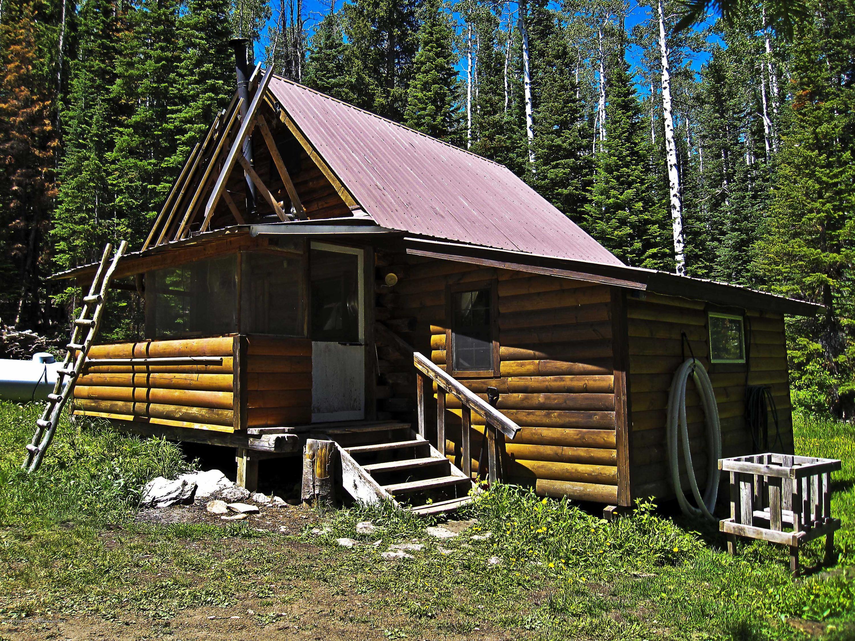 1131 Forest Service Road Craig, CO 81625 - Photo 9 of 9 Cabin 027 copy