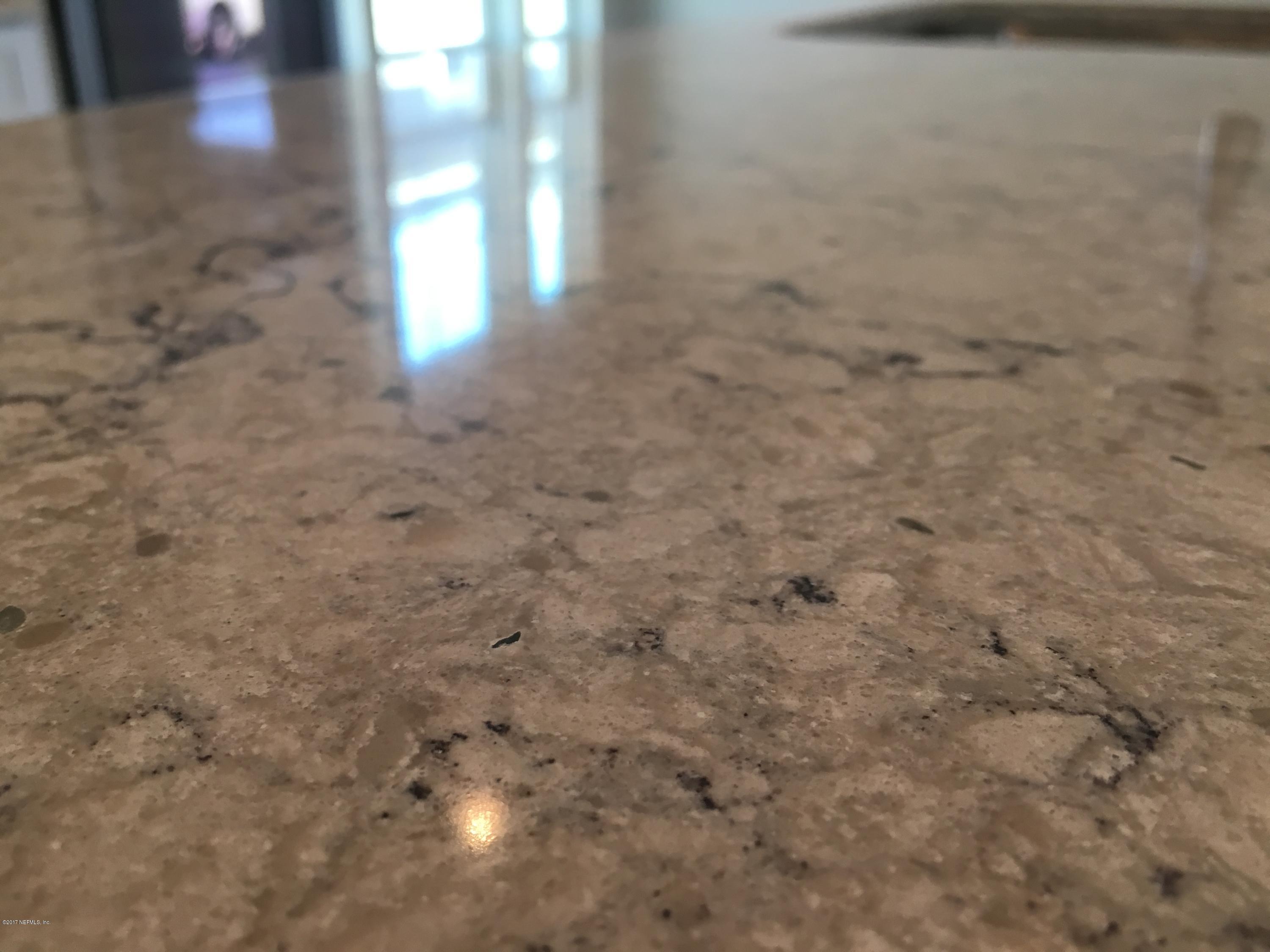 332 Rambling Water Run St. Johns, FL 32259 - Photo 24 of 36 Quartz Counters in Kitchen