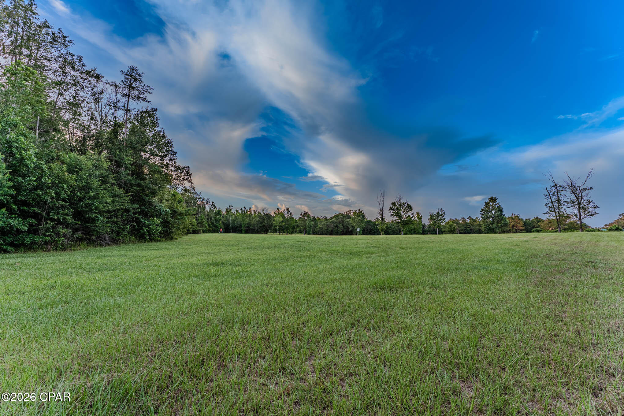 90 Highway 90 Grand Ridge, FL 32442 - Photo 16 of 40