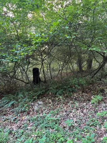 $125,000 | 0 Reservoir Road, Washington, NJ 07882