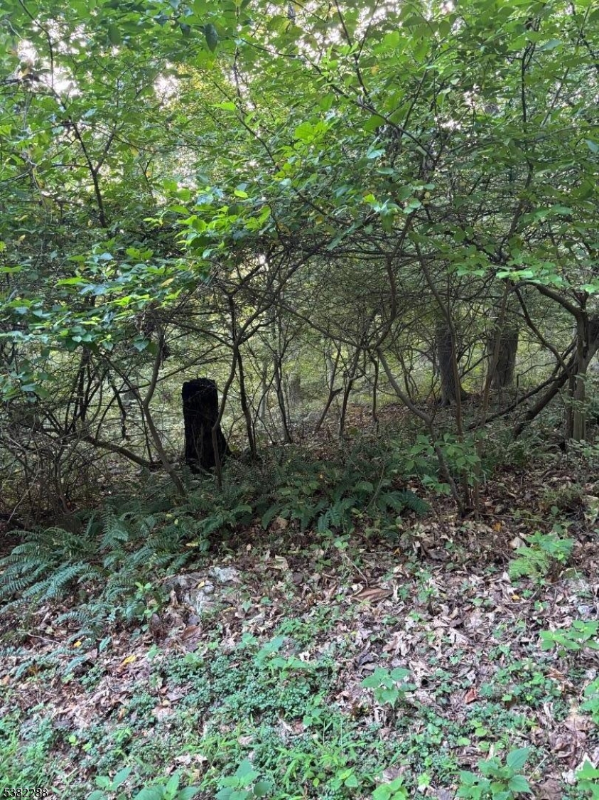 0 Reservoir Road Washington, NJ 07882 - Photo 3 of 3