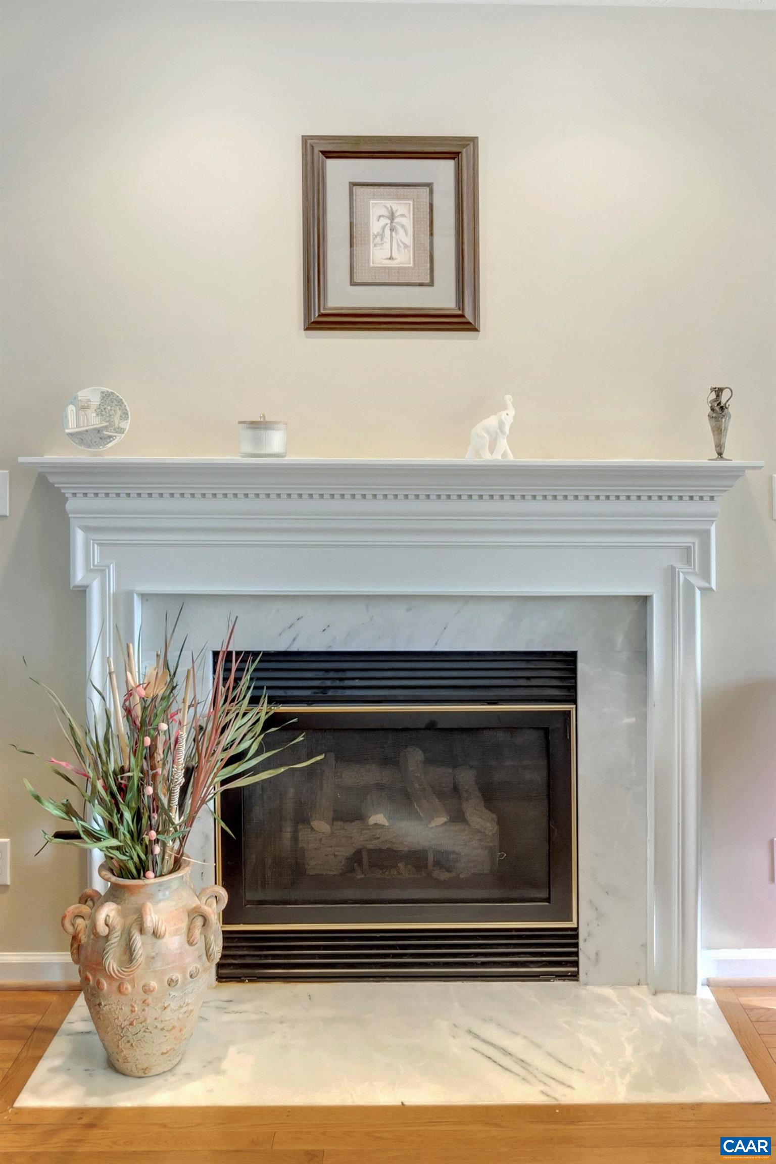 222 Starcrest Road Charlottesville, VA 22902 - Photo 12 of 46 a living room with a fireplace and a potted plant