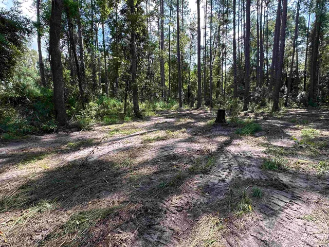 $120,000 | Xx Donaldson-Williams Road, Crawfordville, FL 32327