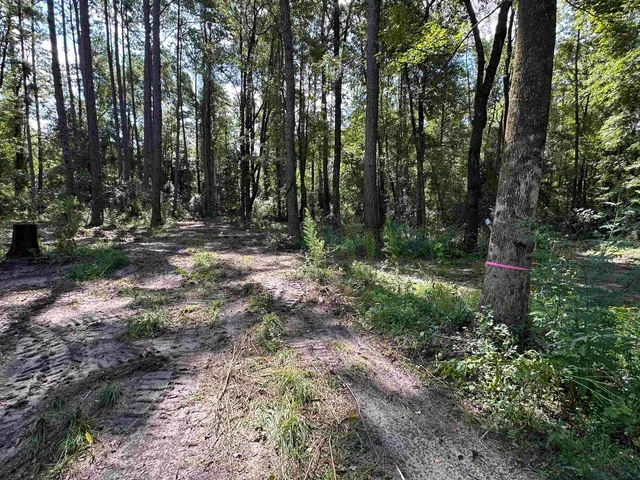 $120,000 | Xx Donaldson-Williams Road, Crawfordville, FL 32327