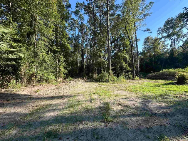 $120,000 | Xx Donaldson-Williams Road, Crawfordville, FL 32327
